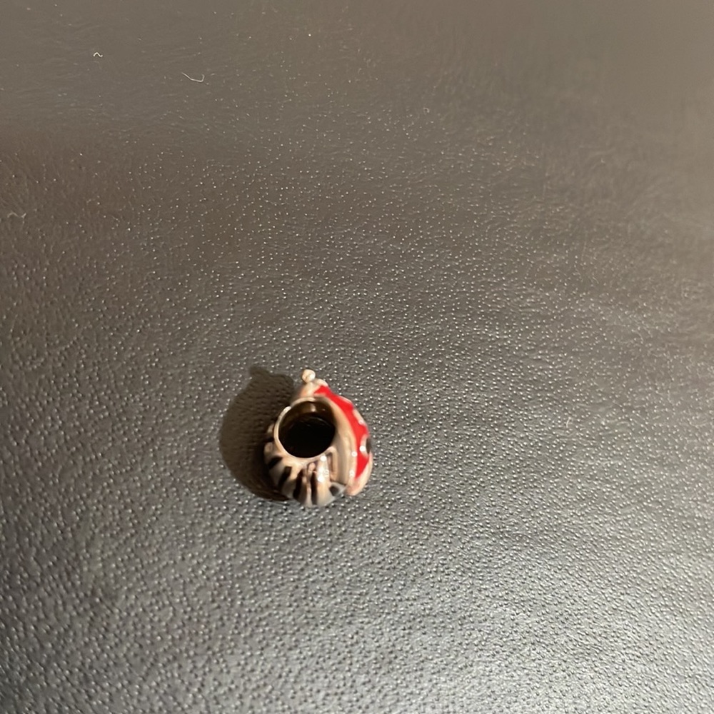 Pandora Bracelet Charms - Picture 3 of 4